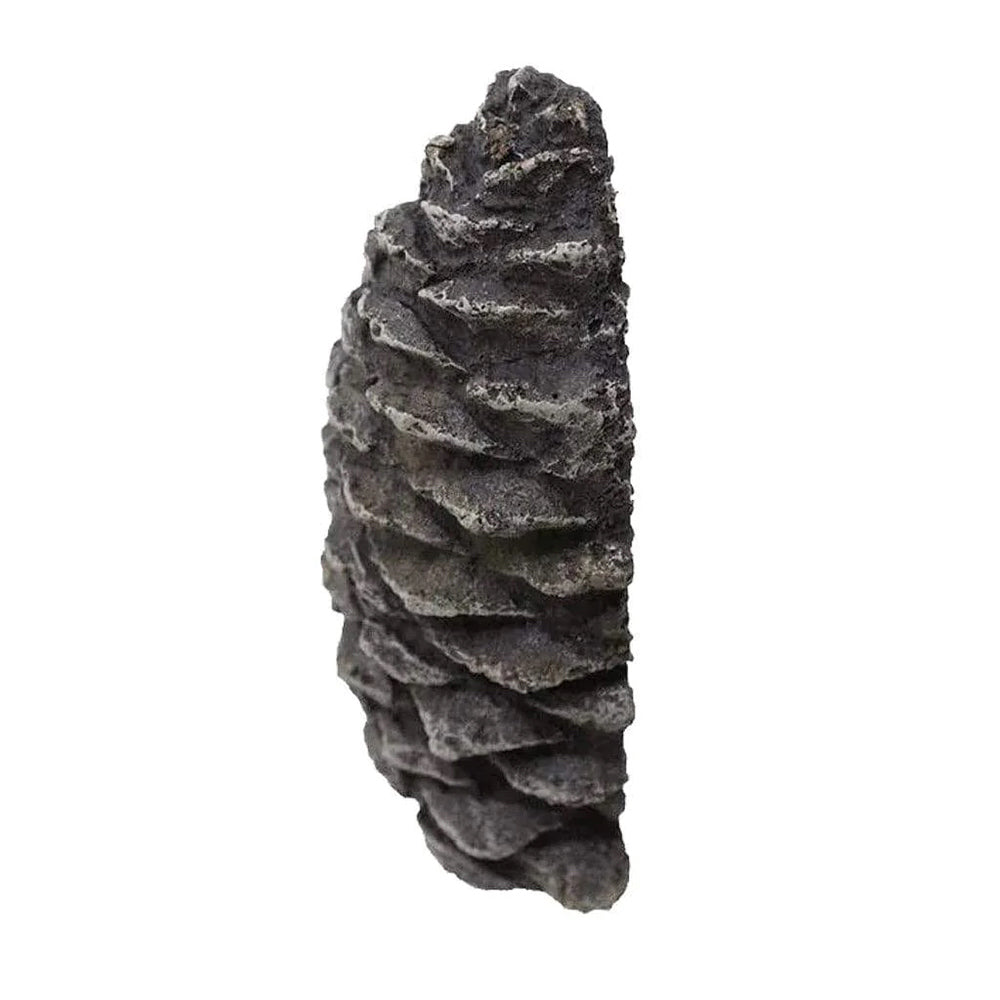 Decorative pine cone valve concealer, dark gray textured flat cover