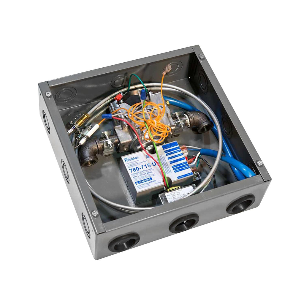 Outdoor electronic ignition system module with wiring in metal housing