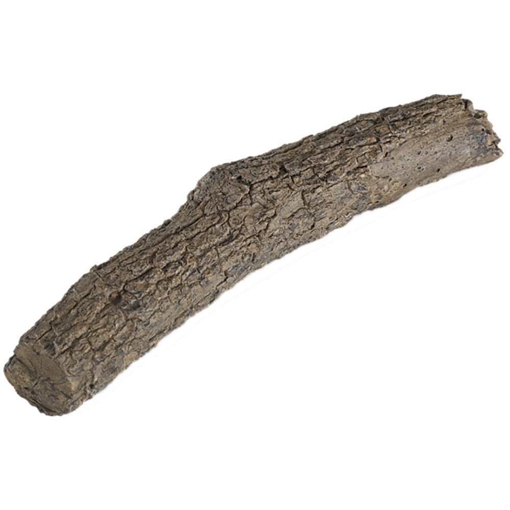 21-inch oak branch decor with textured bark, dark brown