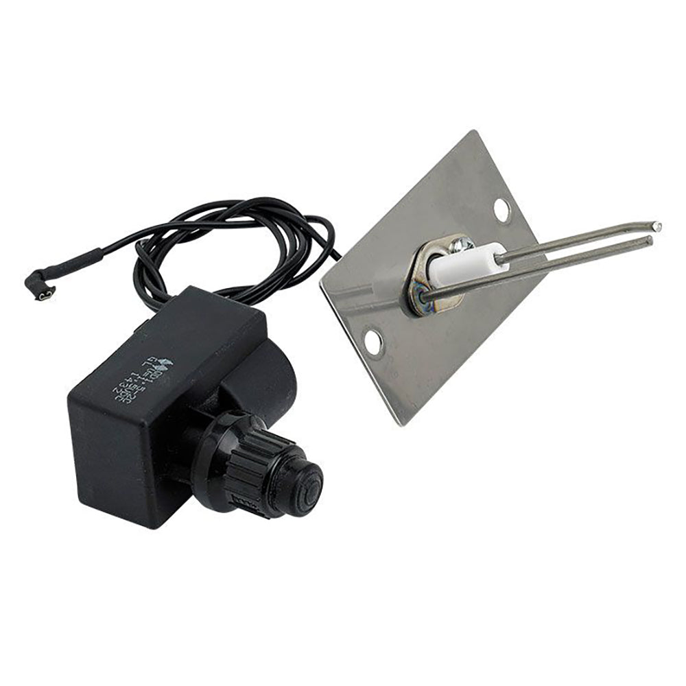 Spark ignition module with mounting bracket, wires, and an electrode connector