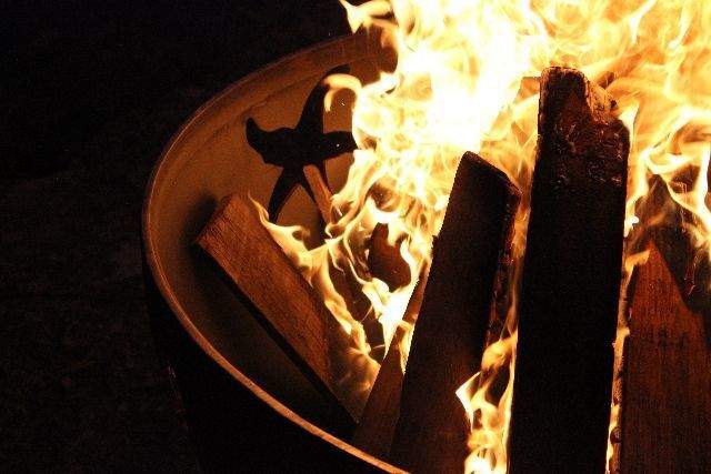 Fire Pit Art Sea Creatures Wood Fire Pit