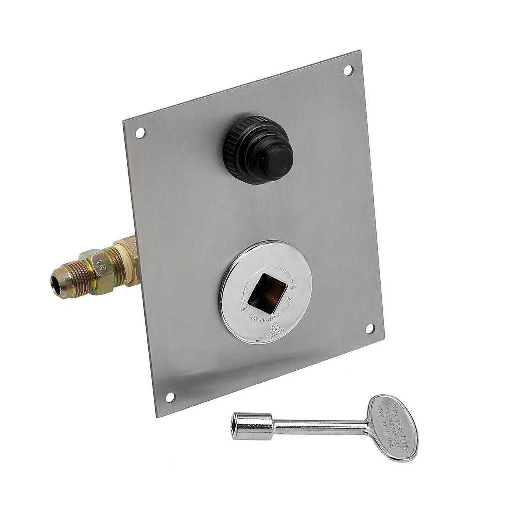Stainless control plate with gas fitting, ignition switch, and mounting key