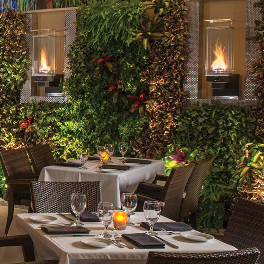 Tempest Torch Gas Torch Head with Wall Mount Assembly